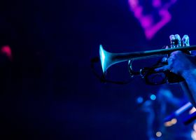 The Brass Birds — Live